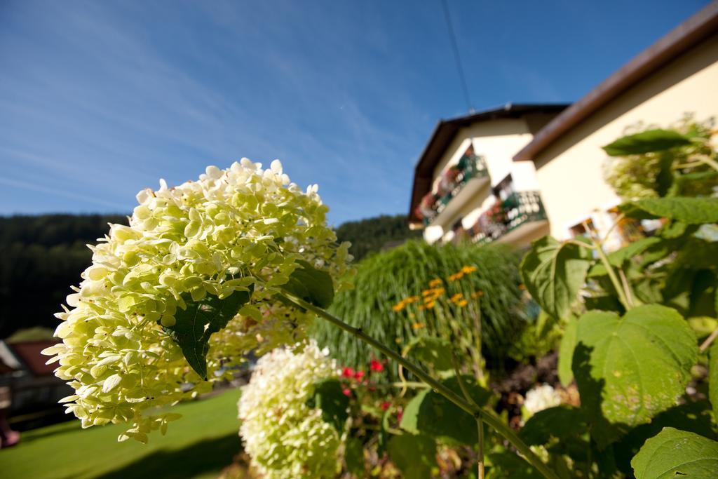 Hotel Moenichwalderhof Monichwald Exterior foto